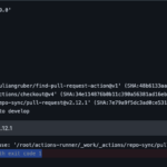 Runner docker run failed