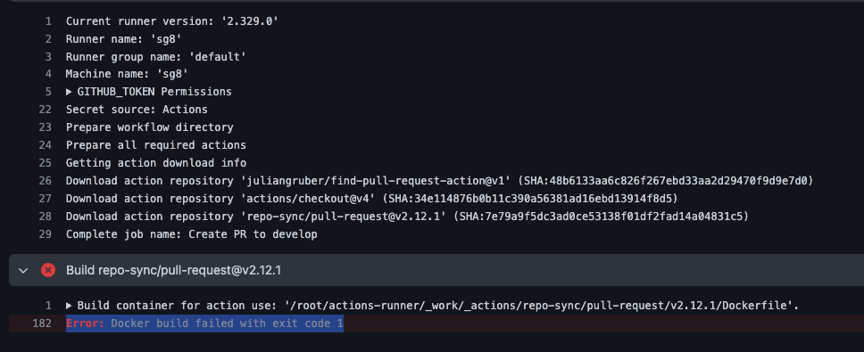 Runner docker run failed