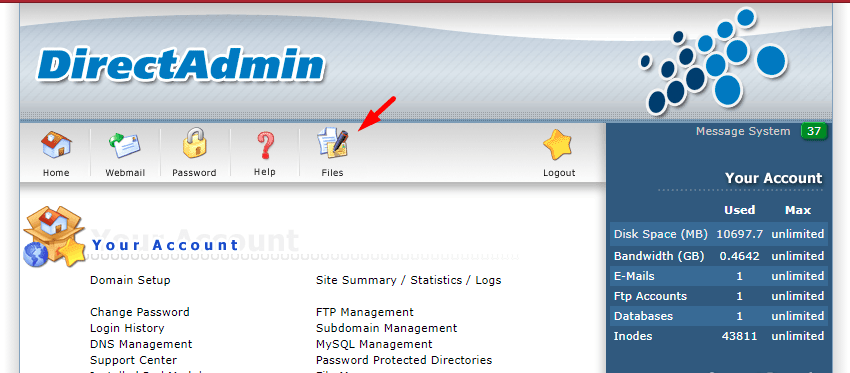 Truy cập menu File Manager trong DirectAdmin