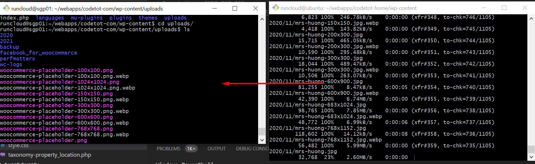 Sao chép file và folder trong Terminal